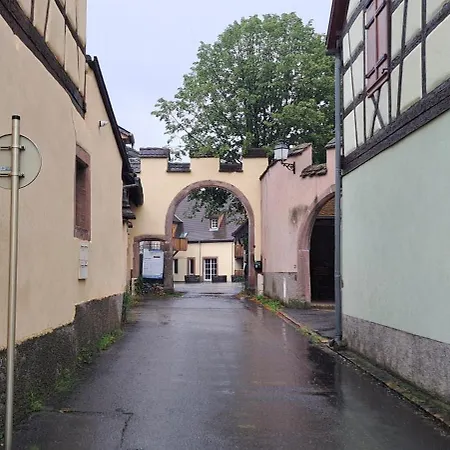 L'arbre Rose * Bergheim