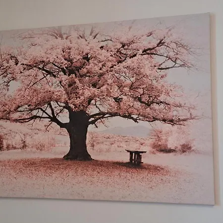 L'arbre Rose Διαμέρισμα Bergheim